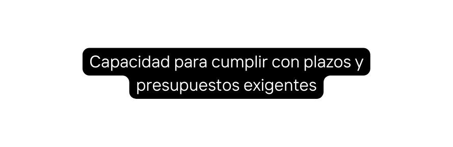 Capacidad para cumplir con plazos y presupuestos exigentes